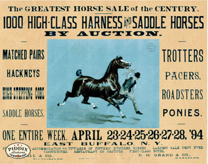 Pdxc21040 -- Horse Sale Poster Original Art
