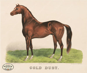 Pdxc21055 -- Horse Gold Dust Original Art