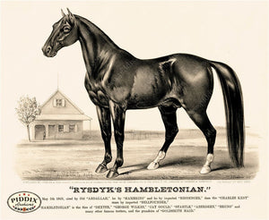 Pdxc21057 -- Horse Rysdyks Hambletonian Original Art