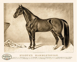 Pdxc21058 -- Horse Rysdyks Hambletonian Stable Original Art