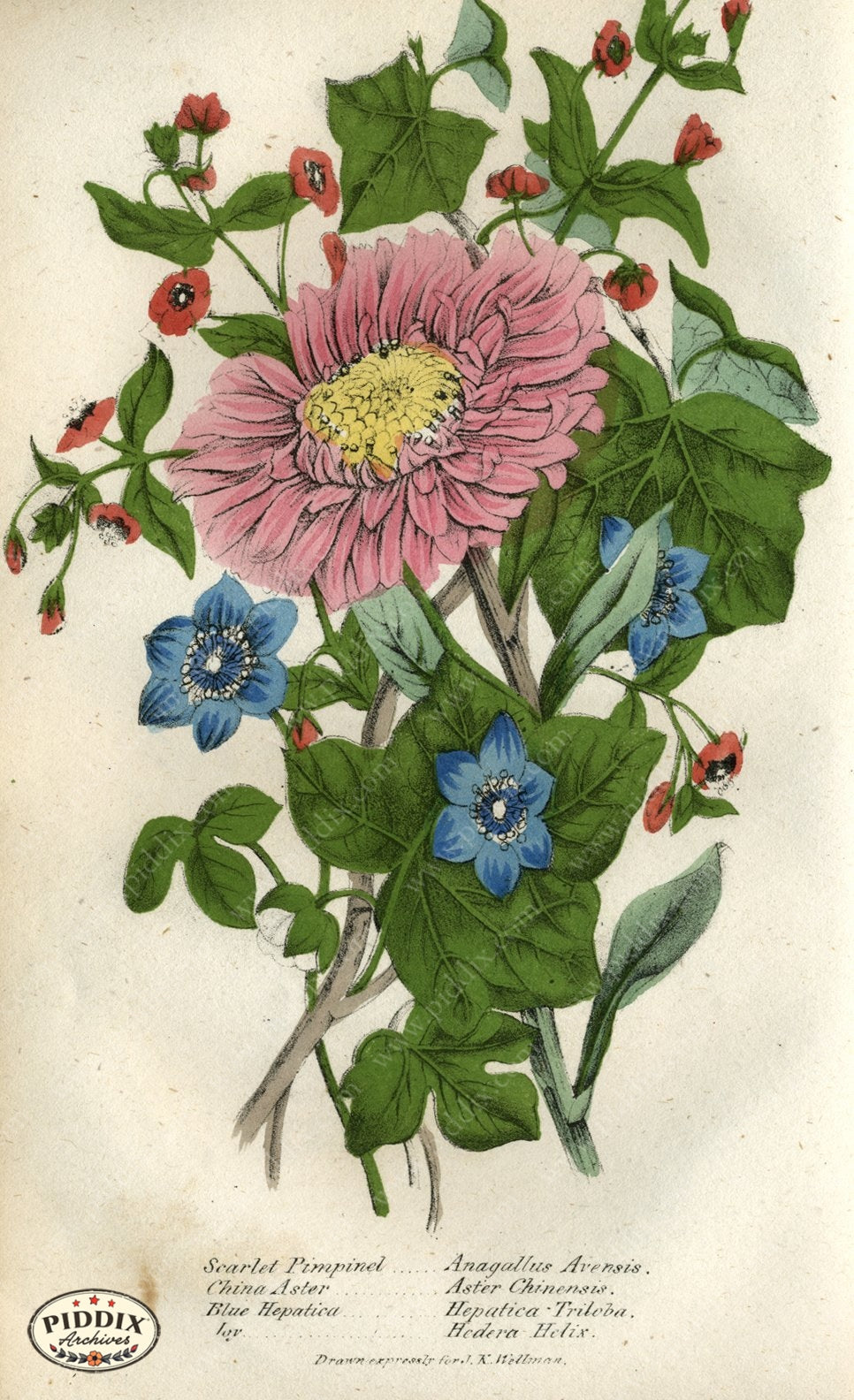 Pdxc2224 -- New For November Color Illustration