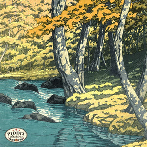 Pdxc23391B -- Stream And Autumn Trees