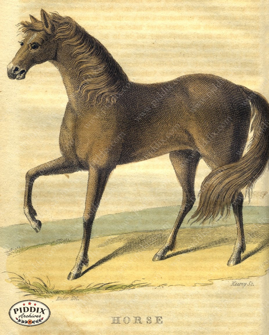 Pdxc2417 -- New For November Color Illustration