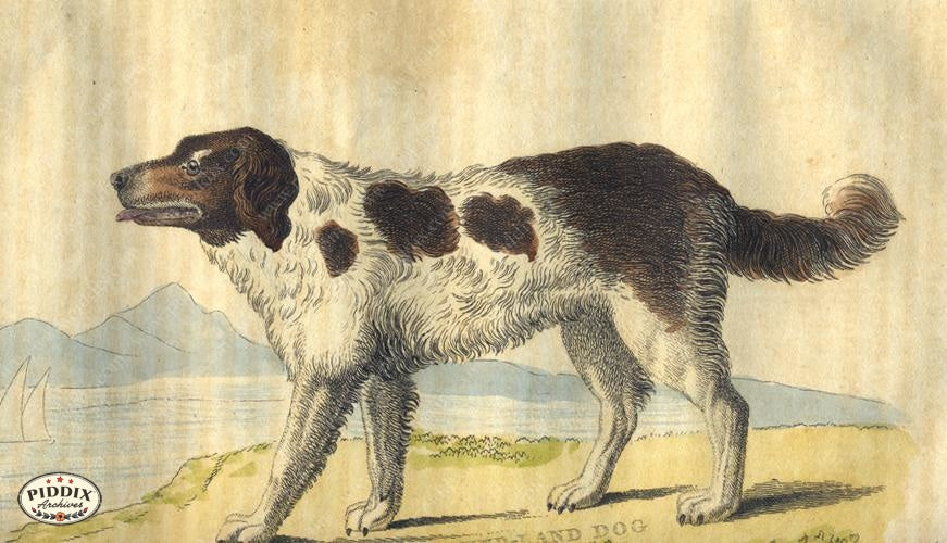 Pdxc2423 -- New For November Color Illustration