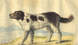 Pdxc2423 -- New For November Color Illustration