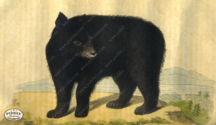 Pdxc2424 -- New For November Color Illustration