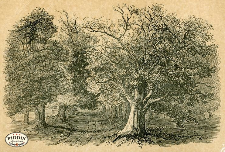 Pdxc2577 -- New For November Color Illustration