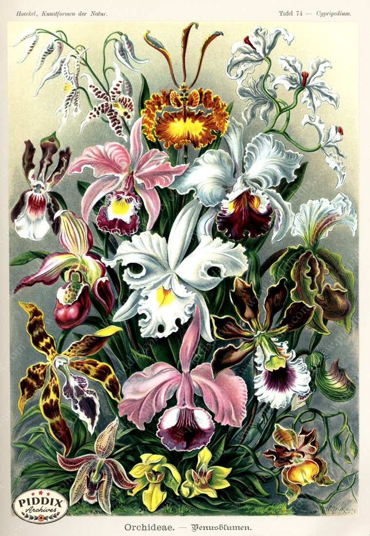 Pdxc3182 -- New For November Color Illustration