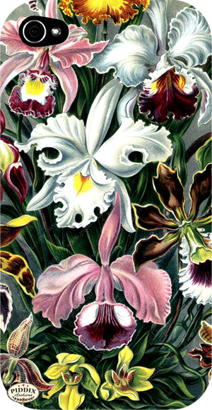 Pdxc3182 -- New For November Color Illustration