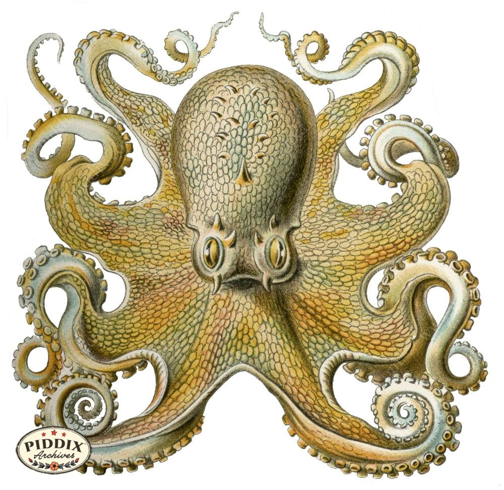 Pdxc3217 -- Underwater Creatures Color Illustration