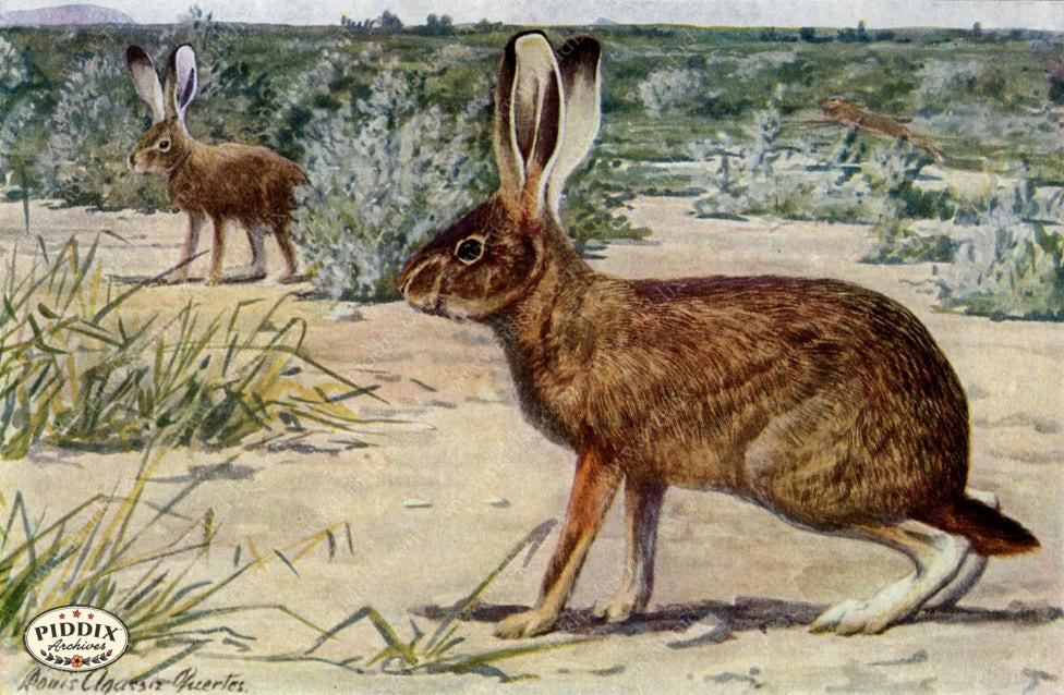 Pdxc3438 -- New For November Color Illustration