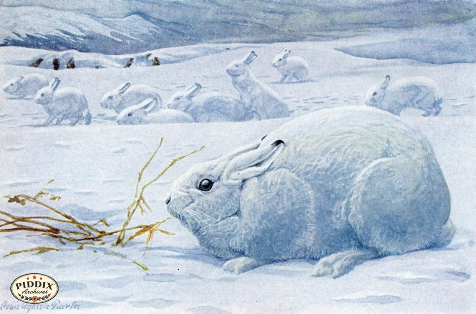 Pdxc3440 -- New For November Color Illustration