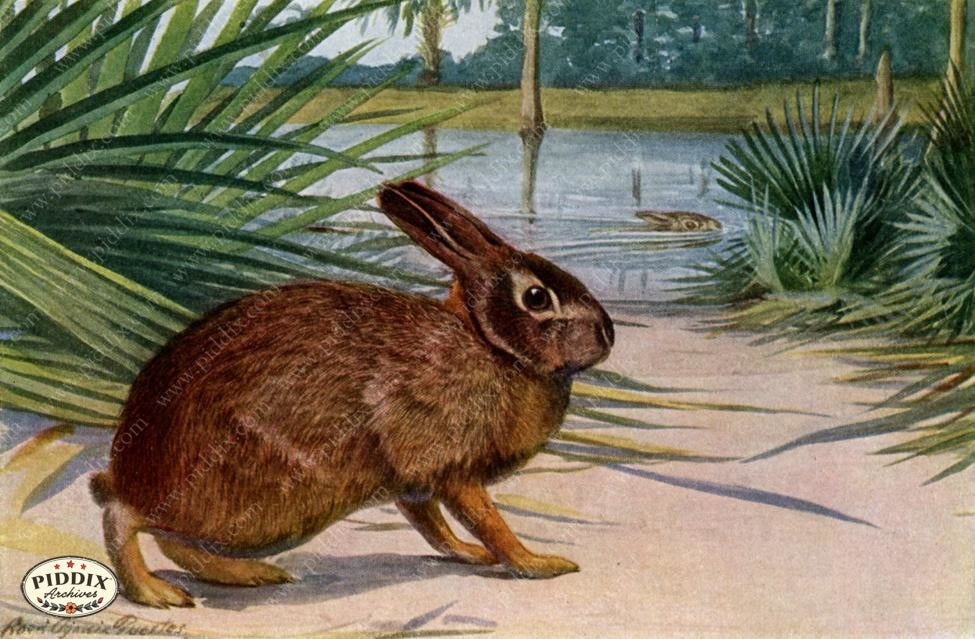 Pdxc3442 -- New For November Color Illustration