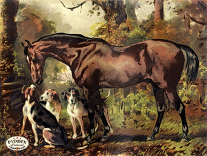 Pdxc3604 -- Horse And Dogs Original Art