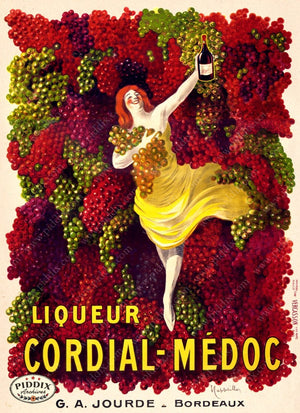 Pdxc3608 -- Alcohol & Wine Poster