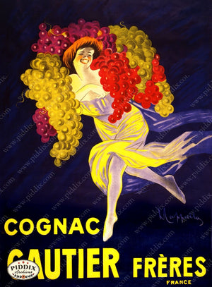 Pdxc3609 -- Alcohol & Wine Poster