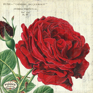 Pdxc3835B -- Flowers On Distressed Wood Original Collage