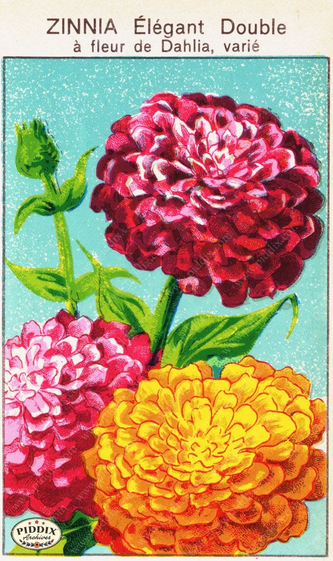 Pdxc3860 -- New For November Color Illustration