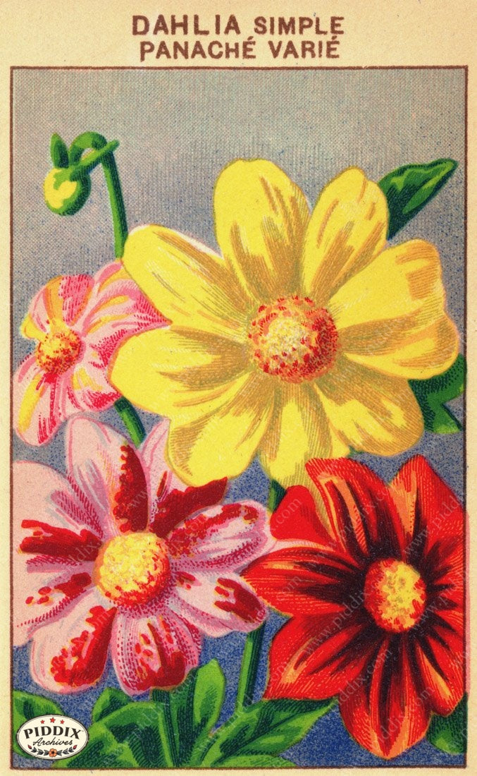 Pdxc3861 -- New For November Color Illustration