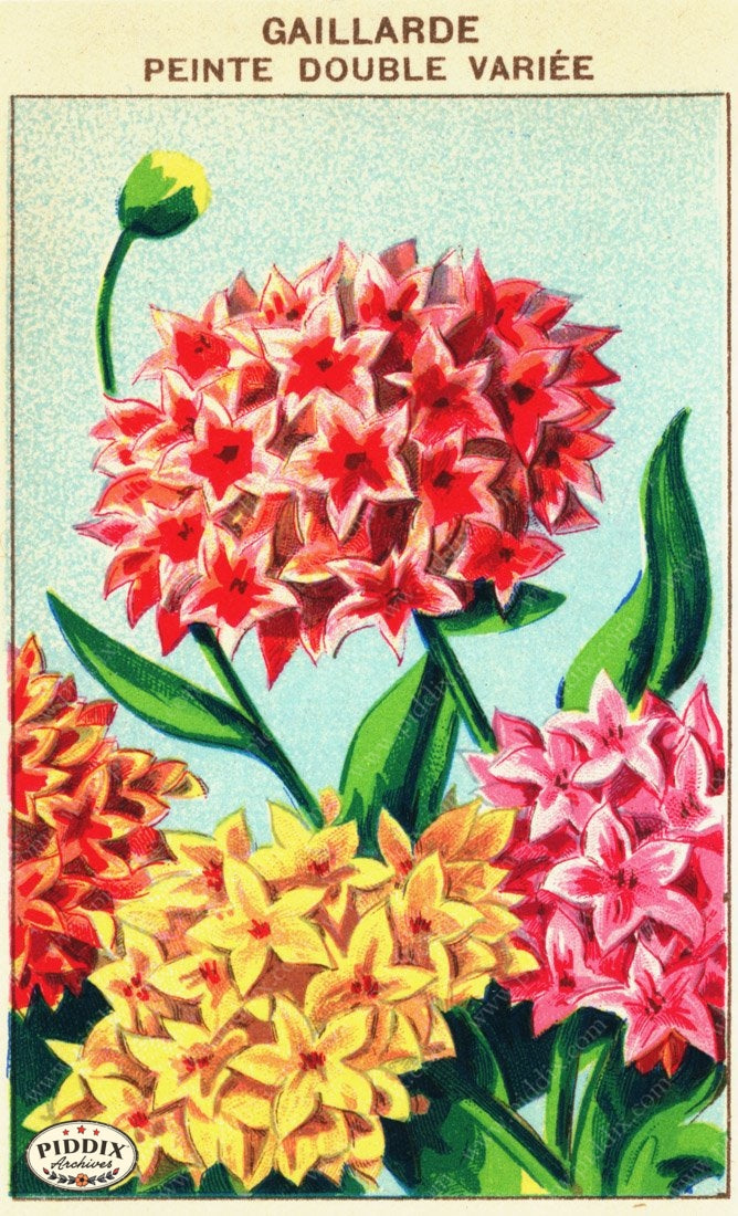 Pdxc3862 -- New For November Color Illustration