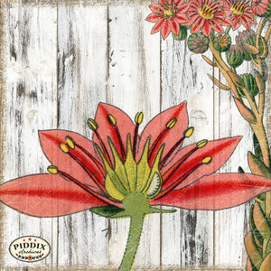 Pdxc3948C -- Flowers On Distressed Wood Original Collage