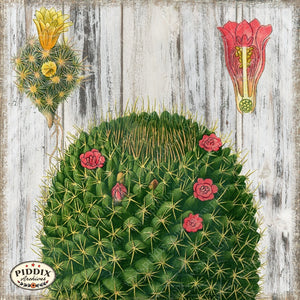 Pdxc3965C -- Flowers On Distressed Wood Original Collage