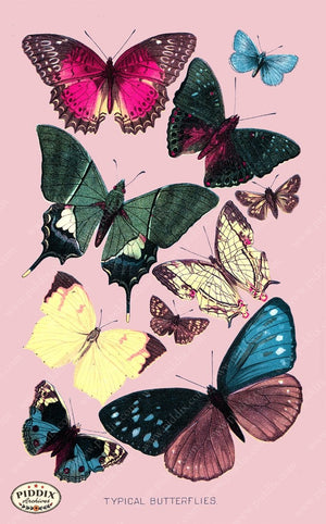 Pdxc4180B -- Bright Butterflies Original Collage