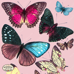 Pdxc4180B & C -- Bright Butterflies Original Collage