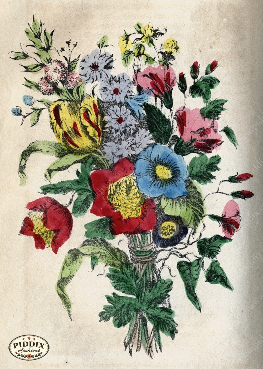 Pdxc4330 -- New For November Color Illustration