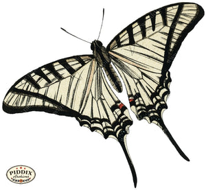 Pdxc4378B -- Butterflies Color Illustration