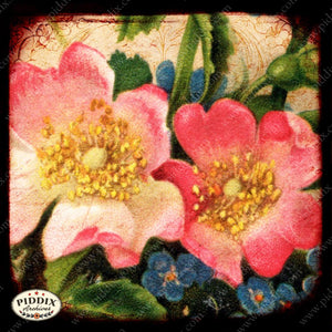 Pdxc5101 -- Flora & Fauna Original Collage