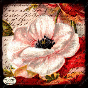 Pdxc5102 -- Flora & Fauna Original Collage