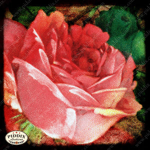 Pdxc5104 -- Flora & Fauna Original Collage