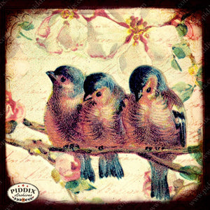 Pdxc5106 -- Flora & Fauna Original Collage