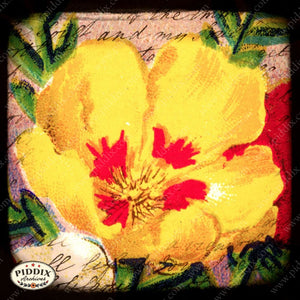 Pdxc5108A -- Flora & Fauna Original Collage