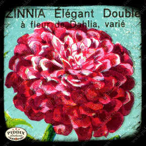 Pdxc5109 -- Flora & Fauna Original Collage