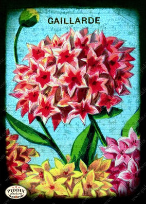 Pdxc5110 -- Flora & Fauna Original Collage