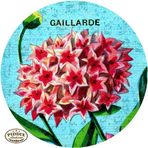 Pdxc5110 -- Flora & Fauna Original Collage