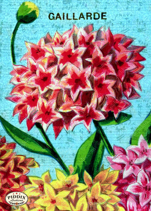 Pdxc5110 -- Flora & Fauna Original Collage