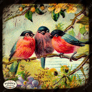 Pdxc5111A B & C -- Flora Fauna Original Collage