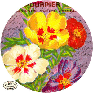 Pdxc5112 -- Flora & Fauna Original Collage