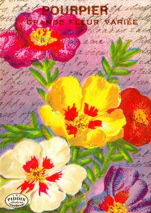 Pdxc5112 -- Flora & Fauna Original Collage