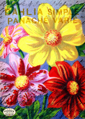 Pdxc5113 -- Flora & Fauna Original Collage