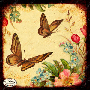 Pdxc5114 -- Flora & Fauna Original Collage