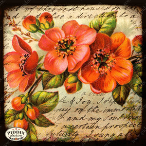 Pdxc5116A & B -- Flora Fauna Original Collage