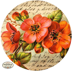 Pdxc5116A & B -- Flora Fauna Original Collage