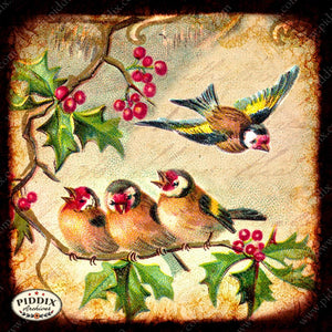 Pdxc5117 -- Flora & Fauna Original Collage