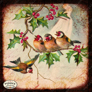 Pdxc5117 -- Flora & Fauna Original Collage