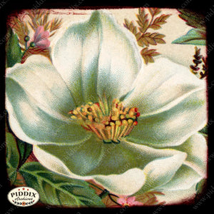 Pdxc5121 -- Flora & Fauna Original Collage
