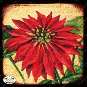 Pdxc5122 -- Flora & Fauna Original Collage